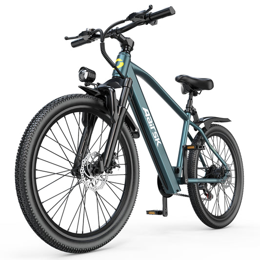 Electric Bicycle -250W Powerful Brushless Motor, 25km/h, Range 55km, 7-speed Transmission