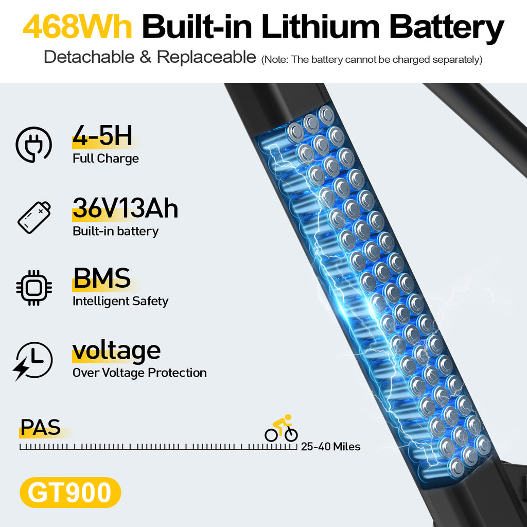 6MSKS GT900 Ebike