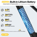 6MSKS GT900 Ebike