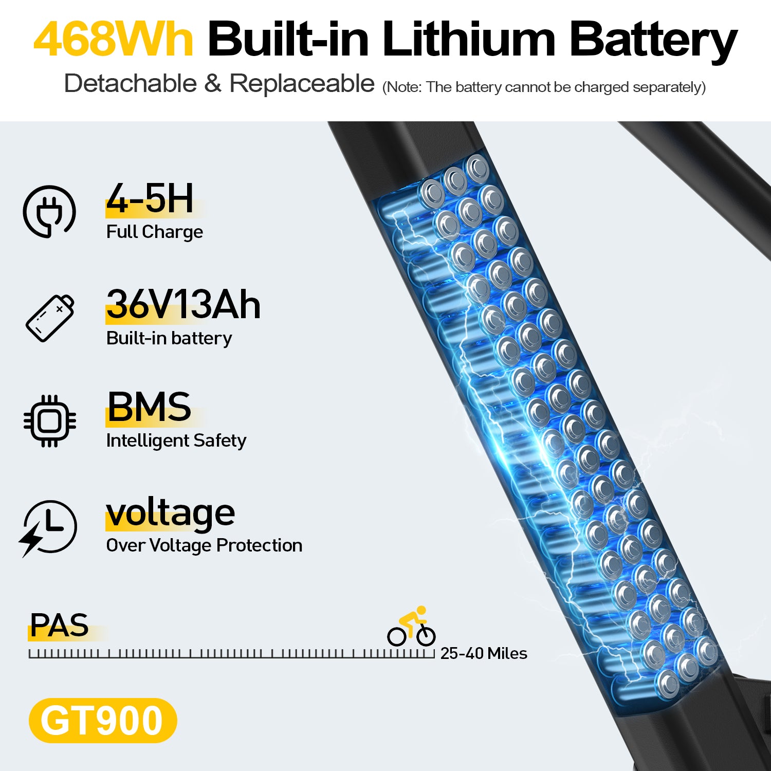 6MSKS GT900 Ebike