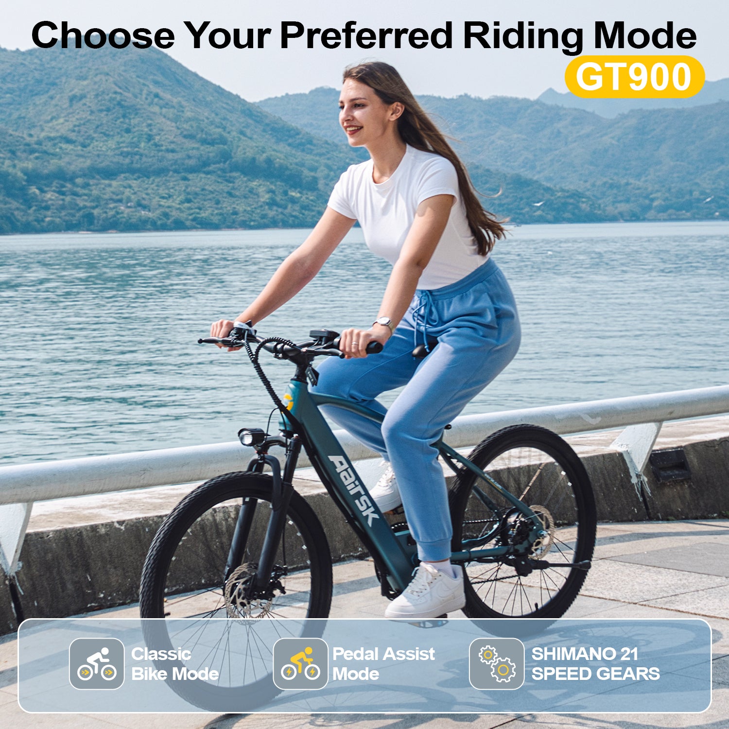 6MSKS GT900 Ebike