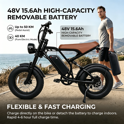 6MSKS M16 Electric bike 16"×4.0 48V15.6Ah removable battery range of 50-80km Electric bicycle off-road