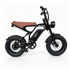 6MSKS M16 Electric Bike 16”Ebike
