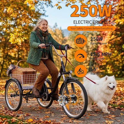 6MSKS 24" Electric Bicycle Three Wheels 250W Powerful Motor 36v15ah Removable Battery Longest Endurance 31 Miles Leisure