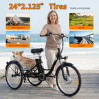 6MSKS M300 Electric Bicycle Three Wheels Ebike
