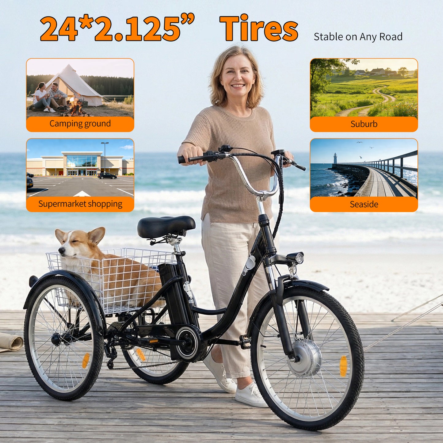6MSKS 24" Electric Bicycle Three Wheels 250W Powerful Motor 36v15ah Removable Battery Longest Endurance 31 Miles Leisure