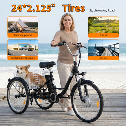 6MSKS 24" Electric Bicycle Three Wheels 250W Powerful Motor 36v15ah Removable Battery Longest Endurance 31 Miles Leisure