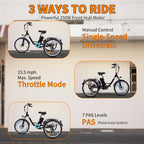 6MSKS M300 Electric Bicycle Three Wheels Ebike