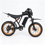 6MSKS GT700 20"Electric bike