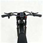 6MSKS GT700 20"Electric bike